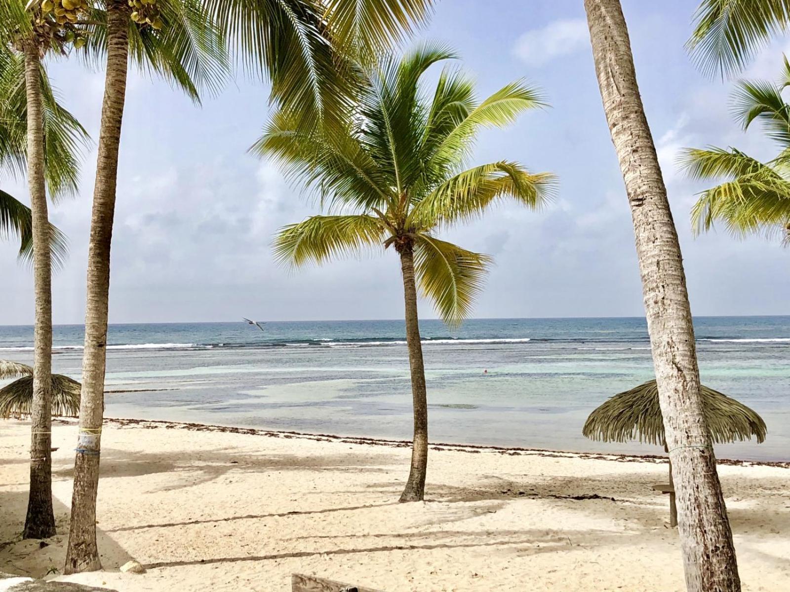 Guadeloupe- Saint-Francois- Residence Anse Des Rochers - Appartement Quart De Villa Etage - Vue Mer- 4 Personnes - Lit Bebe Sur Demande - Citerne Et Wifi Prives -Animaux Ok-Acces Plage Direct -Apnee Bien-Etre Experience Sur Demande Avec Instructeur A Exterior foto